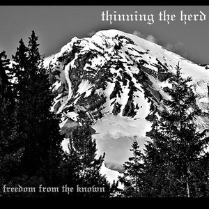 Freedom From The Known