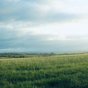 Avatar for fields we found / quiet details