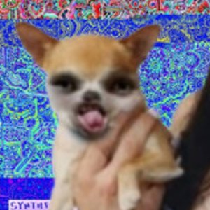 Avatar for Amante