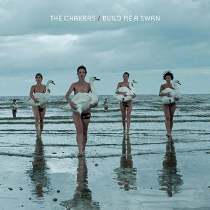 Build Me A Swan