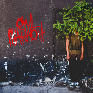 OWL PHARAOH album cover