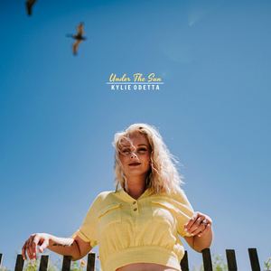 Artwork for Under the Sun