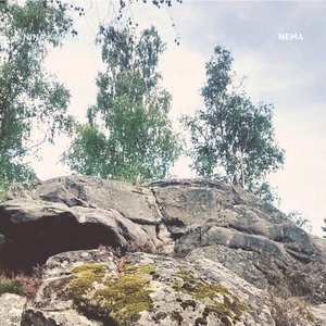 NEMA