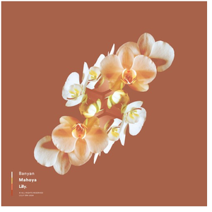 Artwork for Mahoya