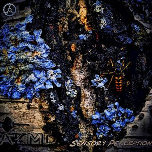 Sensory Perception