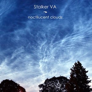 Noctilucent Clouds