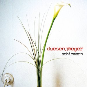 Schimmern