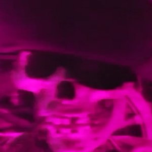 Avatar for s e v e n X3