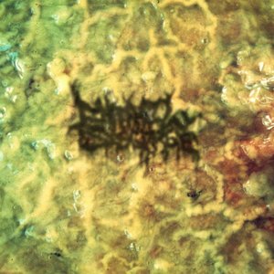 Avatar for Entrail Disgorge