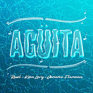 Artwork for Agüita (feat. Keen Levy, Demarco Flamenco)