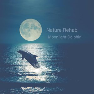Moonlight Dolphin