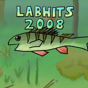 Labhits 2008