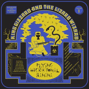 Flying Microtonal Banana — King Gizzard & the Lizard Wizard