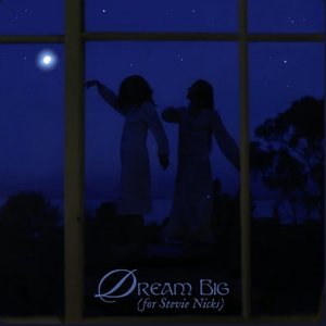 Dream Big (for Stevie Nicks)