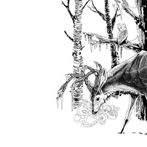 Short History Of Decay