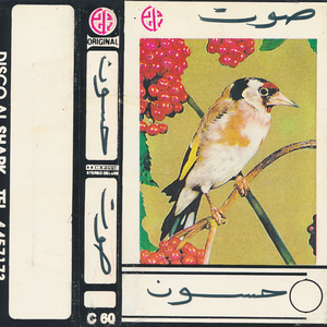 Goldfinch Bird Calls by Goldfinch Bird