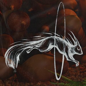Avatar for Squirrely Bass