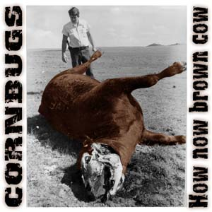 How Now Brown Cow album cover