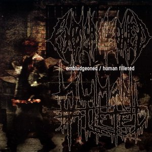 Split: Embludgeoned / Human Filleted