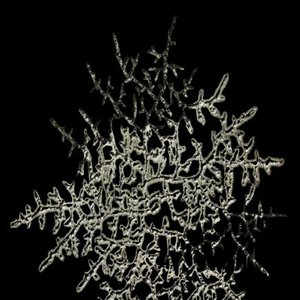 Avatar for Soaked In Cadaveric Mush