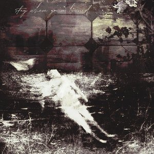 Stay where you're buried