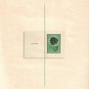 Chlorinefields