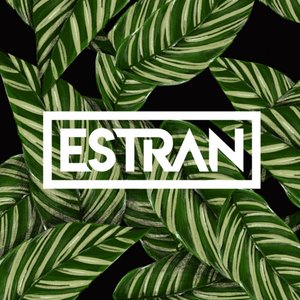 Avatar for Estran