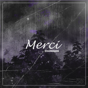 Merci by It's Dynamite
