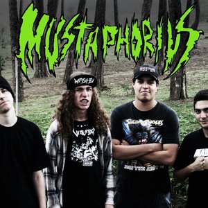 Avatar de mustaphorius