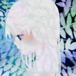 Avatar for 音々
