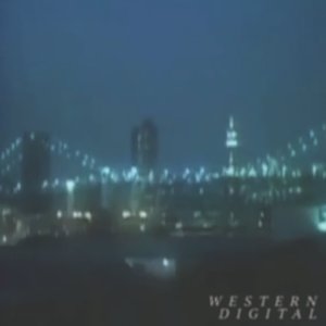 Ｗａｓｔｅｄ Ｄｉｇｉｔａｌ