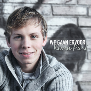 Artwork for WE GAAN ERVOOR