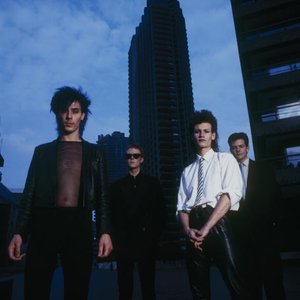 Avatar for Bauhaus
