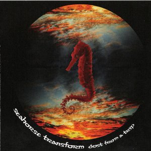 Avatar for Seahorse Transform