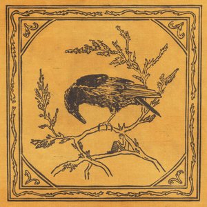 Crows