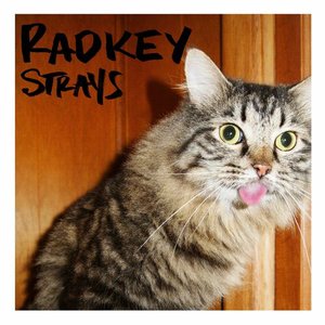 Strays - Single