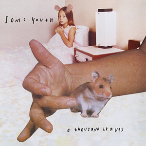 A Thousand Leaves by Sonic Youth