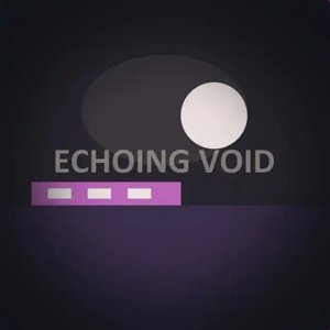 Echoing Void