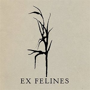 Ex Felines