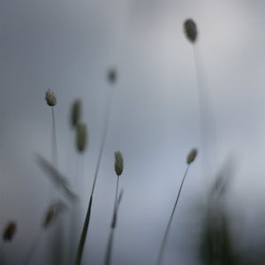 Float by Peter Broderick