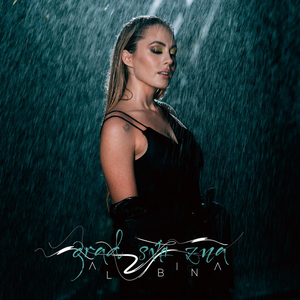 Artwork for Grad Sve Zna
