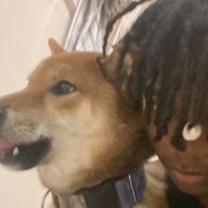 Avatar for Kovou