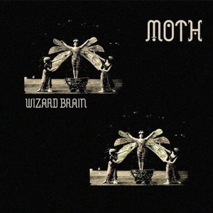 Moth