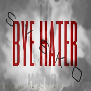Bye Hater