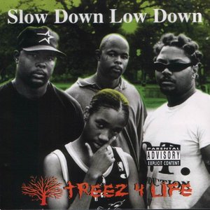Slow Down Low Down