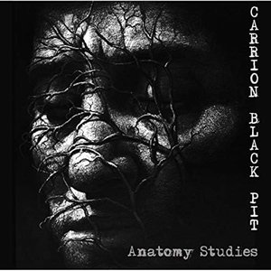 Anatomy Studies