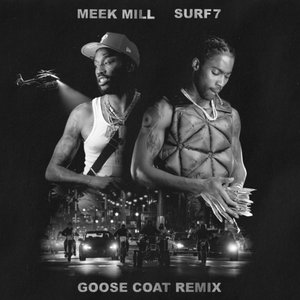 GOOSE COAT (Remix) [feat. Meek Mill]