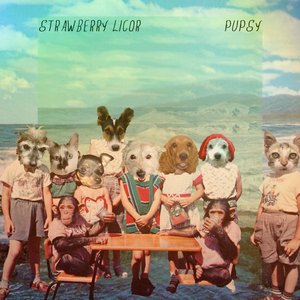Pupsy