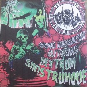 Corpus Cavernosum Clitoridis Dextrum Sinistrumque