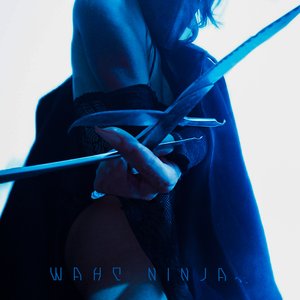 Www.destrói_ninja